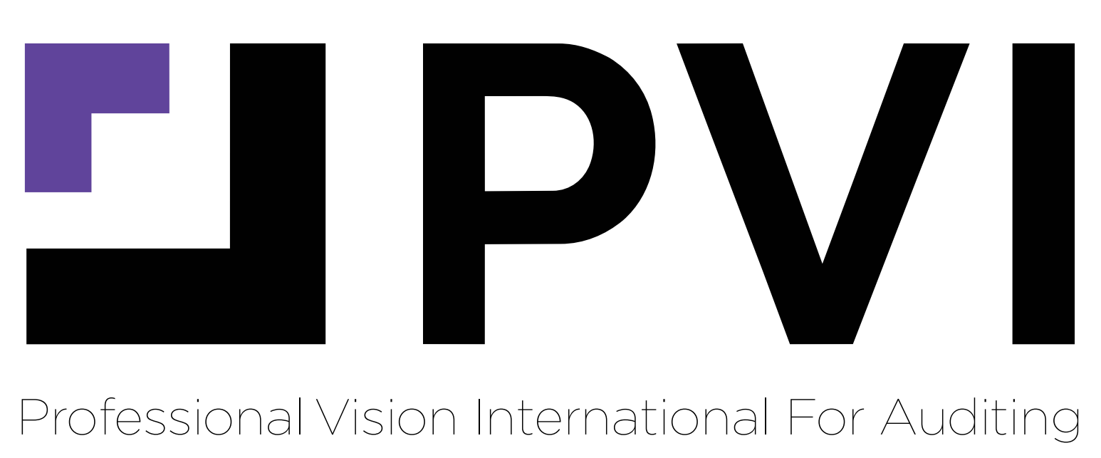 Professional Vision international for auditing