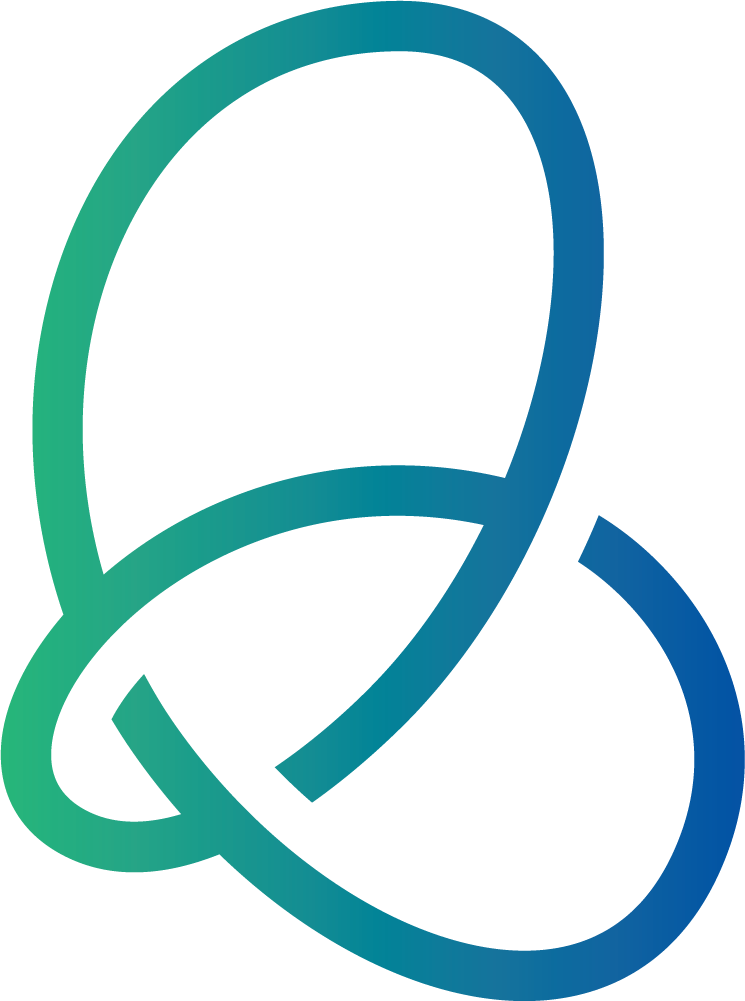 شركة الربط السيبر