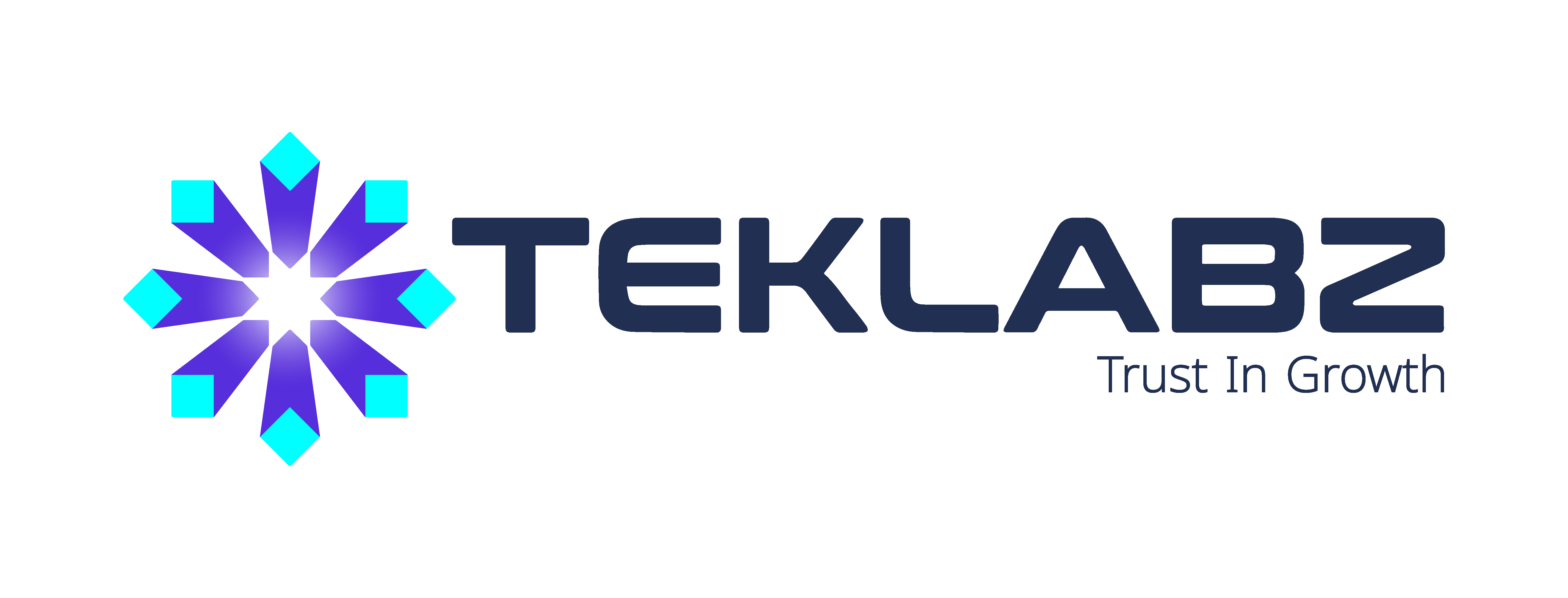 Technology Labs for Software Industry
